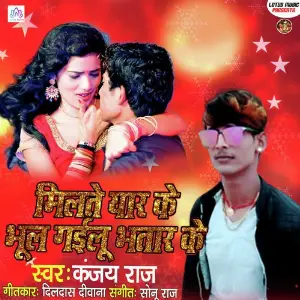 Milte Yaar Ke Bhul Gailu Bhatar Ke image