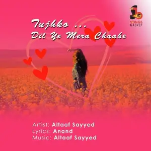 Tujhko Dil Ye Mera Chaahe image