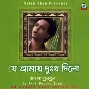 Je Amay Dukkho Dilo - 30 Bangla Song Collection image
