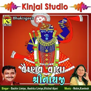 Vaishnav Vala Shreenathji image