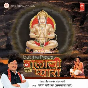 Balaji Ka Pyara image