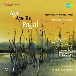 Aye Aye Re Pagal - Rahul Mitra Vol. 1 image
