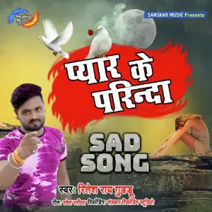 Pyar Ke Parinda image