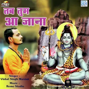 Tab Tum Aa Jana image