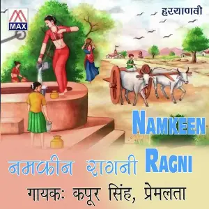 Namkin Ragni image