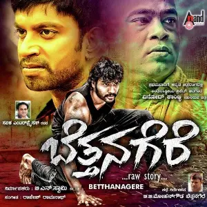 Betthanagere image