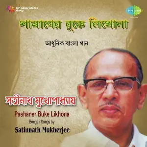 Satinath - Pashaner Buke Likhona image