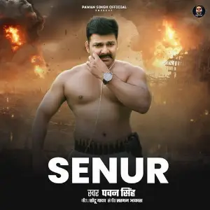 Senur image
