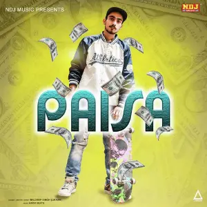 Paisa image