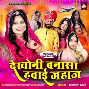 Dekhoni Banasa Hawai Jahaj image