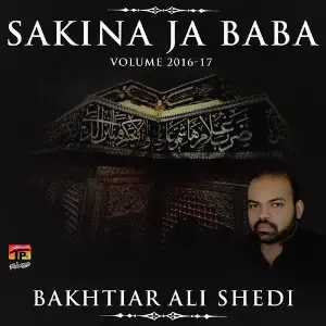 Sakina Ja Baba, Vol. 2016-17 image