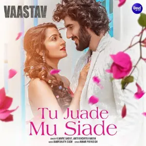 Tu Juade Mu Siade (From Vaastav) image