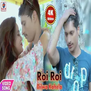 Roi Roi Dilwa Kahela image