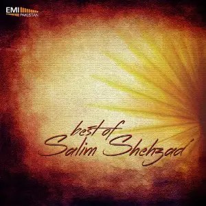 Best of Salim Shehzad image