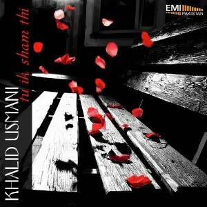 Tu Ik Sham Thi image