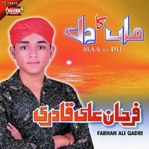 Maa Ka Dil image