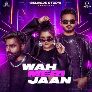 Waah Meri Jaan image