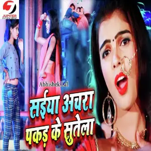 Saiya Achra Pakad Ke Sutela image