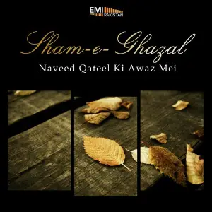 Sham-E-Ghazal image