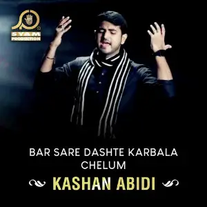 Bar Sare Dashte Karbala Chelum - Single image