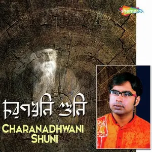 Charanadhwani Shuni image