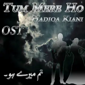 Tum Mere Ho (From Tum Mere Ho ) image