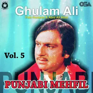 Punjabi Mehfil, Vol. 5 image