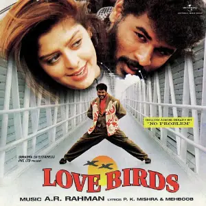 Love Birds Various Artists