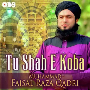 Tu Shah E Koba - Single image
