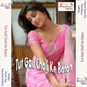 Tut Gail Choli Ke Batan image