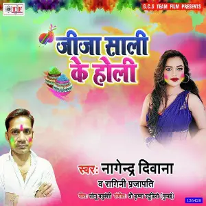 Jija Sali Ke Holi 2 image