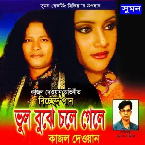 Vul Bujhe Chole Gele image