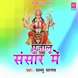 Pujalu Sansar Me image