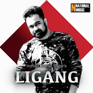 Ligang - Single image