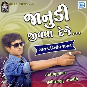 Janudi Jivava Deje image