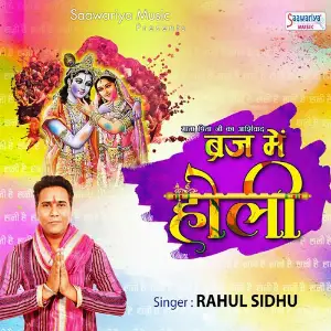 Brij Me Holi image