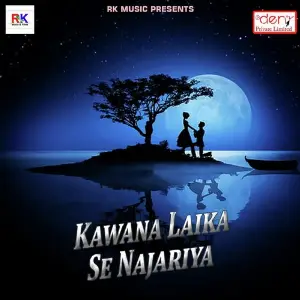 Kawana Laika Se Najariya image