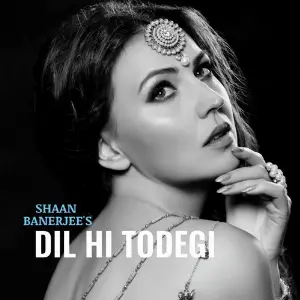 Dil Hi Todegi image
