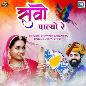 Suvo Palyo Re image