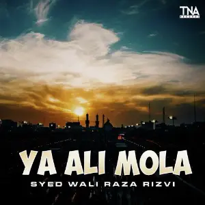 Ya Ali Mola - Single image