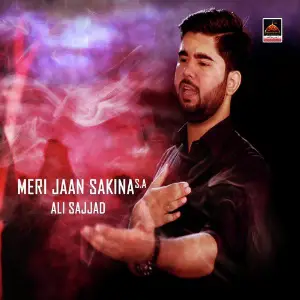 Meri jaan Sakina S.a image