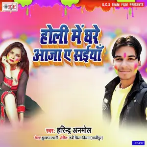 Holi Me Ghare Aaja Ae Saiya image