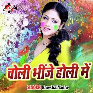 Choli Bhinje Holi Me image