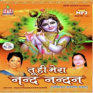 Tu Hi Mera Nand Nandan Various Artists