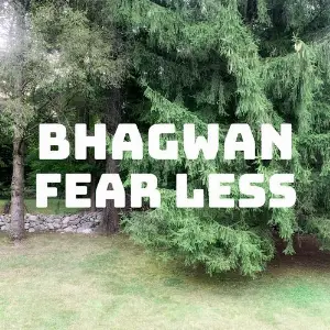 Fear Less image