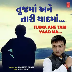 Nakoda Me Udere Gulal Abhijeet Bhatt, Nikhil-Vinay