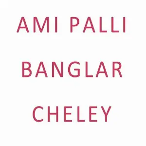 Ami Palli Banglar Cheley image
