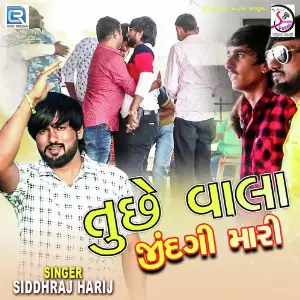 Tu Chhe Vala Zindagi Mari image