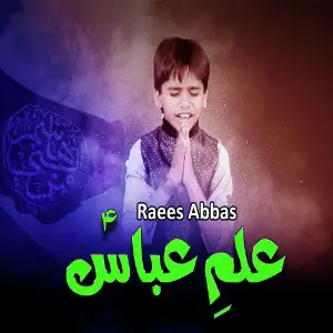 Alam Abbas a.s Da Ae image