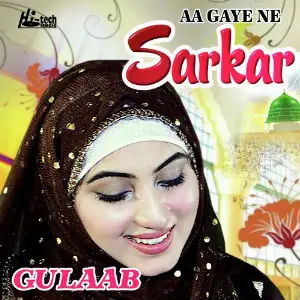 Aa Gaye Ne Sarkar image